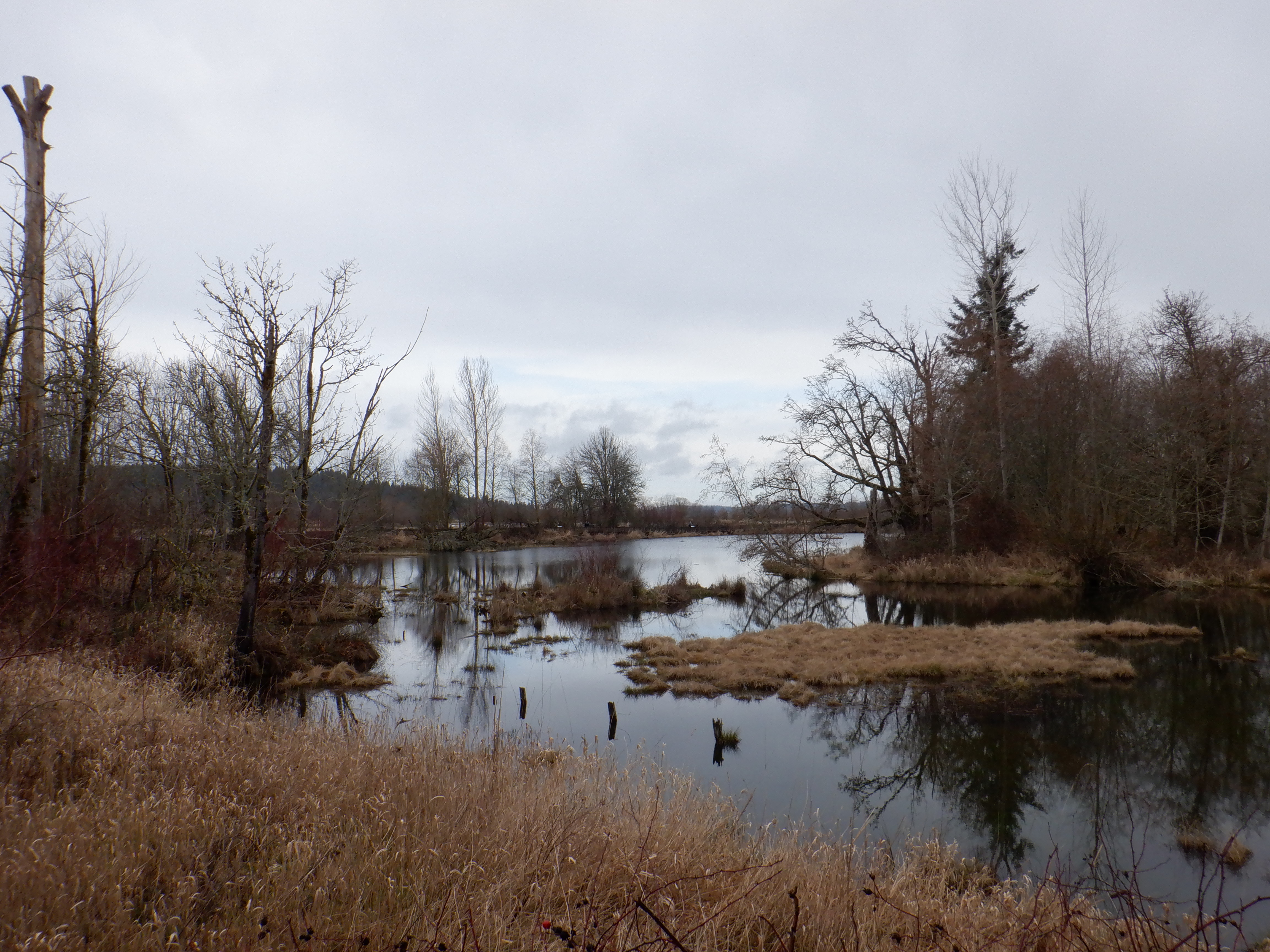 ./2020/03 - Seattle/DSCF1073.JPG